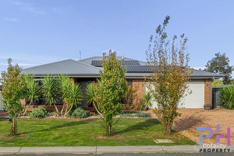 11 Mclean Ct, Elmore, VIC 3558