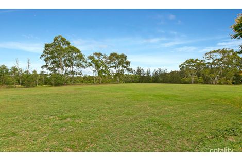 Property photo of 13 Catherine Street Birkdale QLD 4159