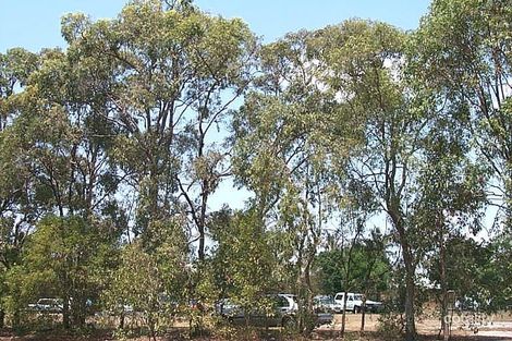 77 Tavistock St, Torquay, QLD 4655