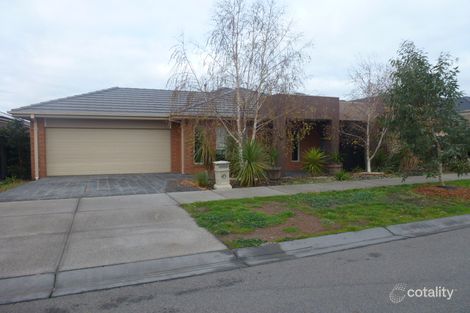 65 Northumberland Cct, Craigieburn, VIC 3064