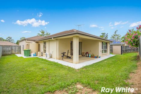 Property photo of 31 Baybreeze Crescent Murrumba Downs QLD 4503