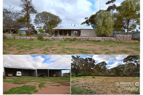 736 Black Hill Rd, Cambrai, SA 5353