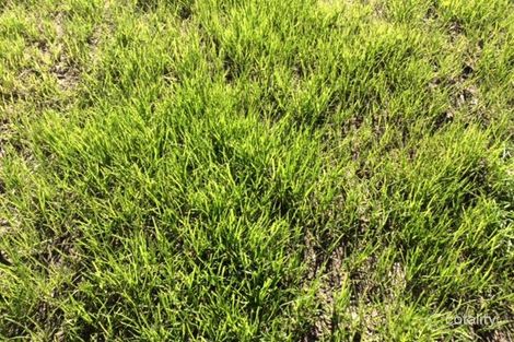 4 Montana Ct, Kilmore, VIC 3764