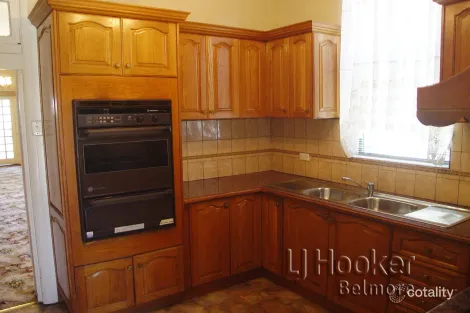 Property photo of 29 Collins Street Belmore NSW 2192