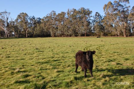 425 Hutchison Rd, Undera, VIC 3629