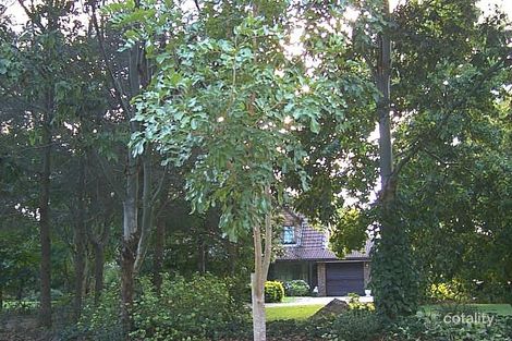 Property photo of 61 Scribner Avenue Forestdale QLD 4118