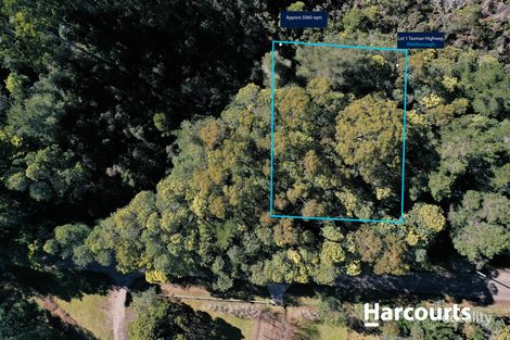 Property photo of 5 Main Road Musselroe Bay TAS 7264