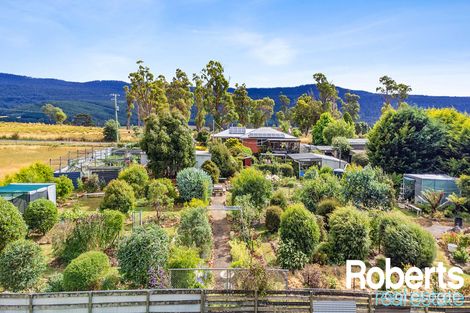 Property photo of 487 Cluan Road Cluan TAS 7303