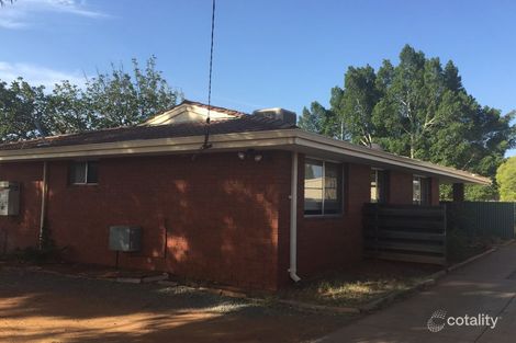 Property photo of 19 Conliffe Place South Kalgoorlie WA 6430