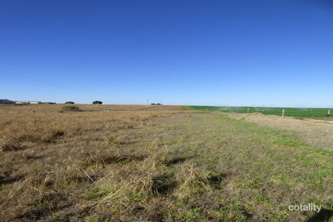 Property photo of 1504 Jervois Road Woods Point SA 5253