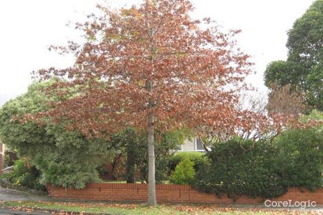 Property photo of 133 Willsmere Road Kew VIC 3101