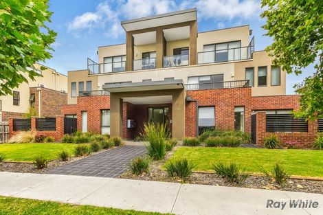 202/1136 Whitehorse Rd, Box Hill, VIC 3128