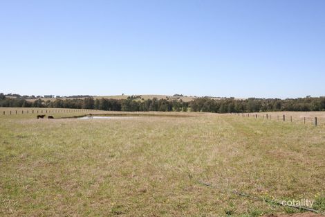 Property photo of 48 Windermere Road Lochinvar NSW 2321