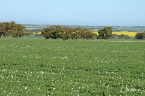 Property photo of Nerang Close Georgina WA 6532