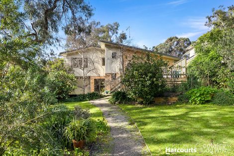 Property photo of 39 Alice Street Mount Waverley VIC 3149