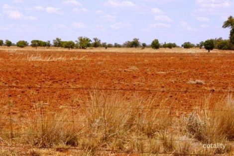 2310 Coffills Lane, Honeybugle, NSW 2825