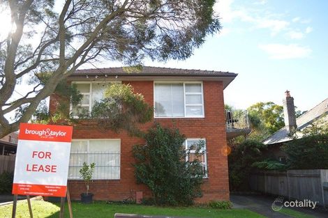 8/49 Palace St, Ashfield, NSW 2131