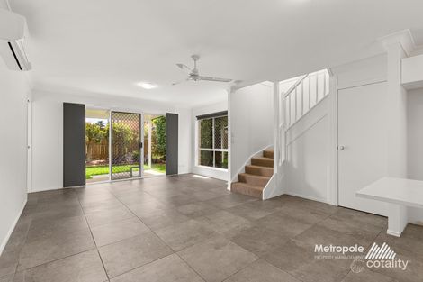 Property photo of 3/46-48 Alma Road Clayfield QLD 4011