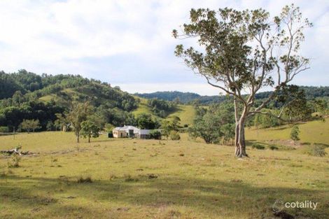 Property photo of 208 Coxs Creek Road Bingleburra NSW 2311