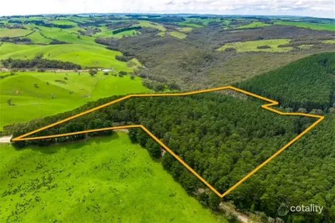 Property photo of 28 Taylor Road Tunkalilla SA 5203