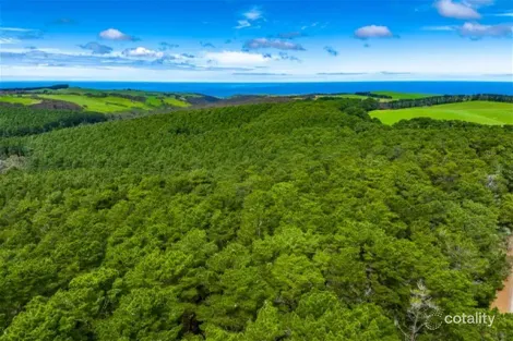 Property photo of 28 Taylor Road Tunkalilla SA 5203