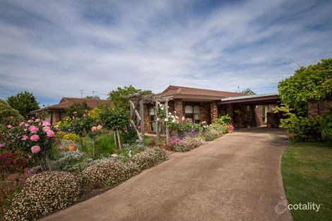 Property photo of 6 Morson Street Horsham VIC 3400