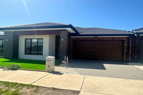 29 Bear St, Tarneit, VIC 3029