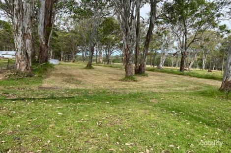 9227 Mount Lindesay Rd, Legume, NSW 2476