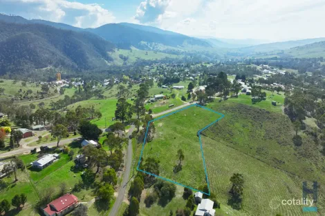 111 Sebastopol Hill Rd, Omeo, VIC 3898