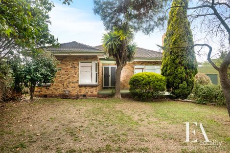3 Rod St, Herne Hill, VIC 3218