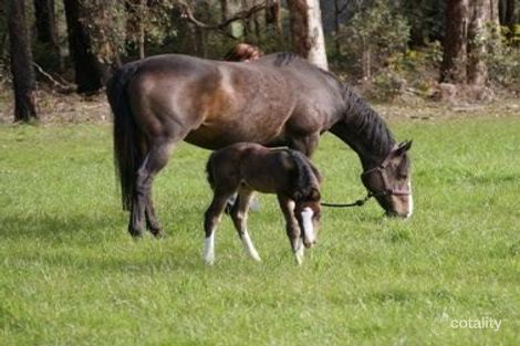 Property photo of 81 Tynans Road Jardee WA 6258