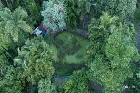 Property photo of 13 Timberland Road Jubilee Pocket QLD 4802