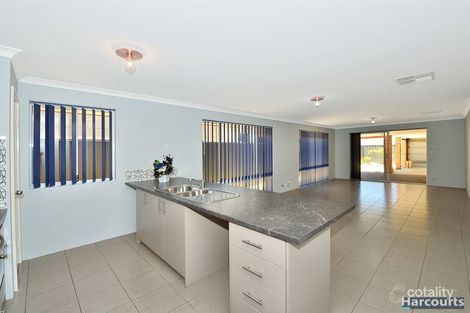 Property photo of 8 Conebush Circle Falcon WA 6210