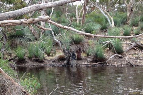 837 Bark Hut Rd, Cassini, SA 5223