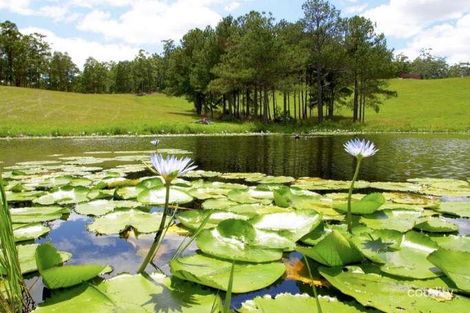 Property photo of 159 Seib Road Eumundi QLD 4562
