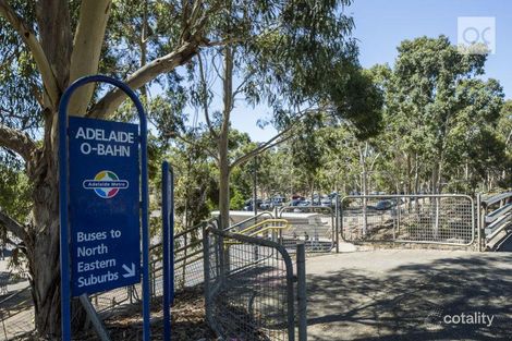 Property photo of 5 Beech Avenue Campbelltown SA 5074