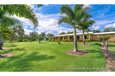 272 Raspberry Creek Rd, Kunwarara, QLD 4702