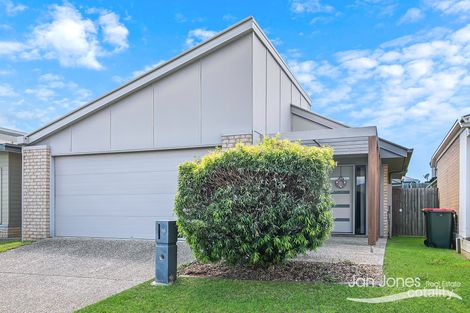 16 Cardamom Cl, Griffin, QLD 4503