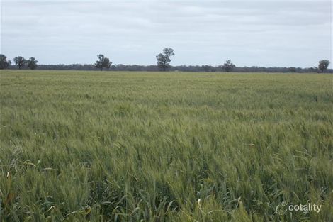 147 Pier Point Rd, Wolseley, SA 5269