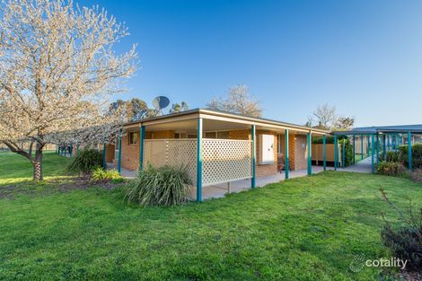 Property photo of 24/7 Severin Court Thurgoona NSW 2640