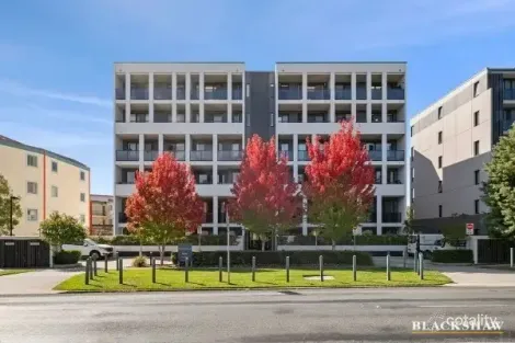 49/109 Canberra Ave, Griffith, ACT 2603