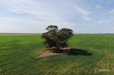 1842 Matong North Rd, Cowabbie, NSW 2652