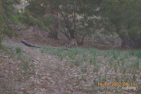 Property photo of 32 Lakeside Terrace Preston Beach WA 6215