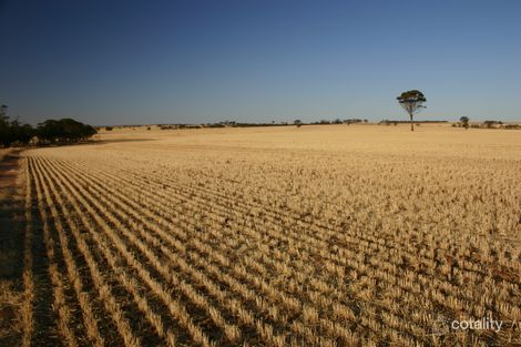 3103 Bendering Rd, Kondinin, WA 6367