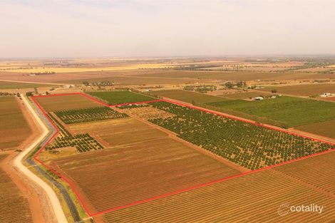 53 Rodgers Rd, Yenda, NSW 2681