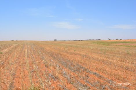 99 Hobbs Lane, Werrimull, VIC 3496