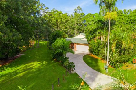 Property photo of 45 Juanita Street Birkdale QLD 4159