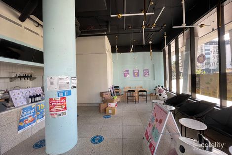 21 Amelia St, Waterloo, NSW 2017