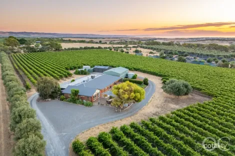 Property photo of 28 Wheaton Road McLaren Vale SA 5171