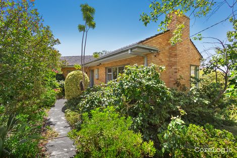 Property photo of 66 Almond Street Balwyn North VIC 3104